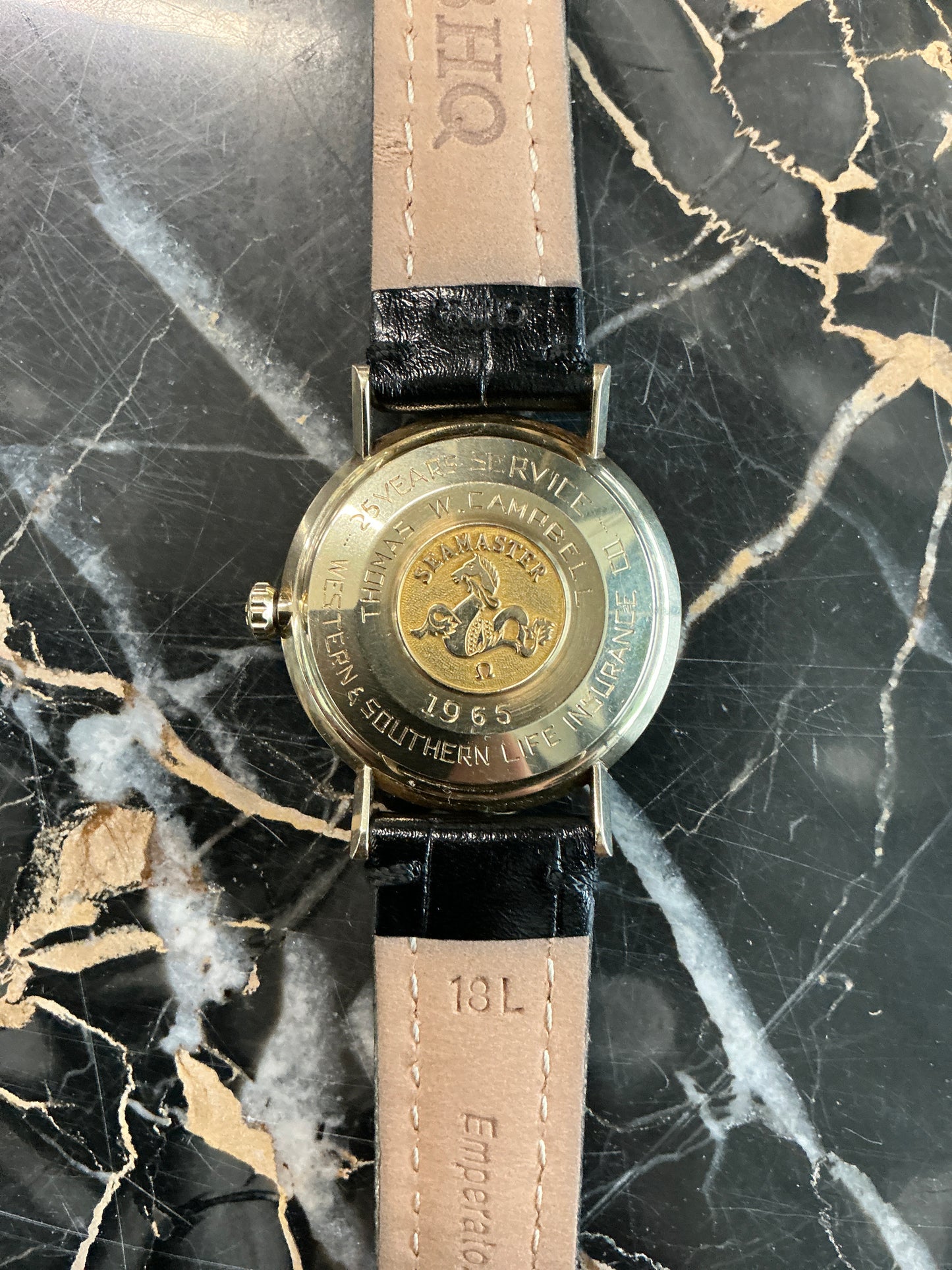 1960s Omega Seamaster De Ville GF Case