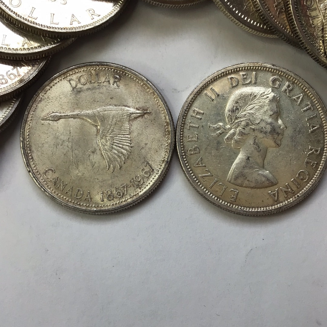 Canadian Silver Dollar .800 Silver (random year)