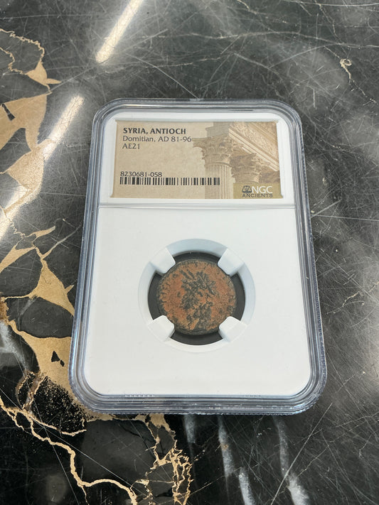Ancient Coin Syria, Antioch, Domitian, AD 81-96