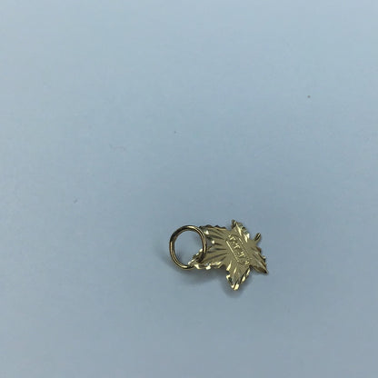 10 K Yellow Gold Maple Leaf Charm-Pendant, Canada - Pawn Man Store