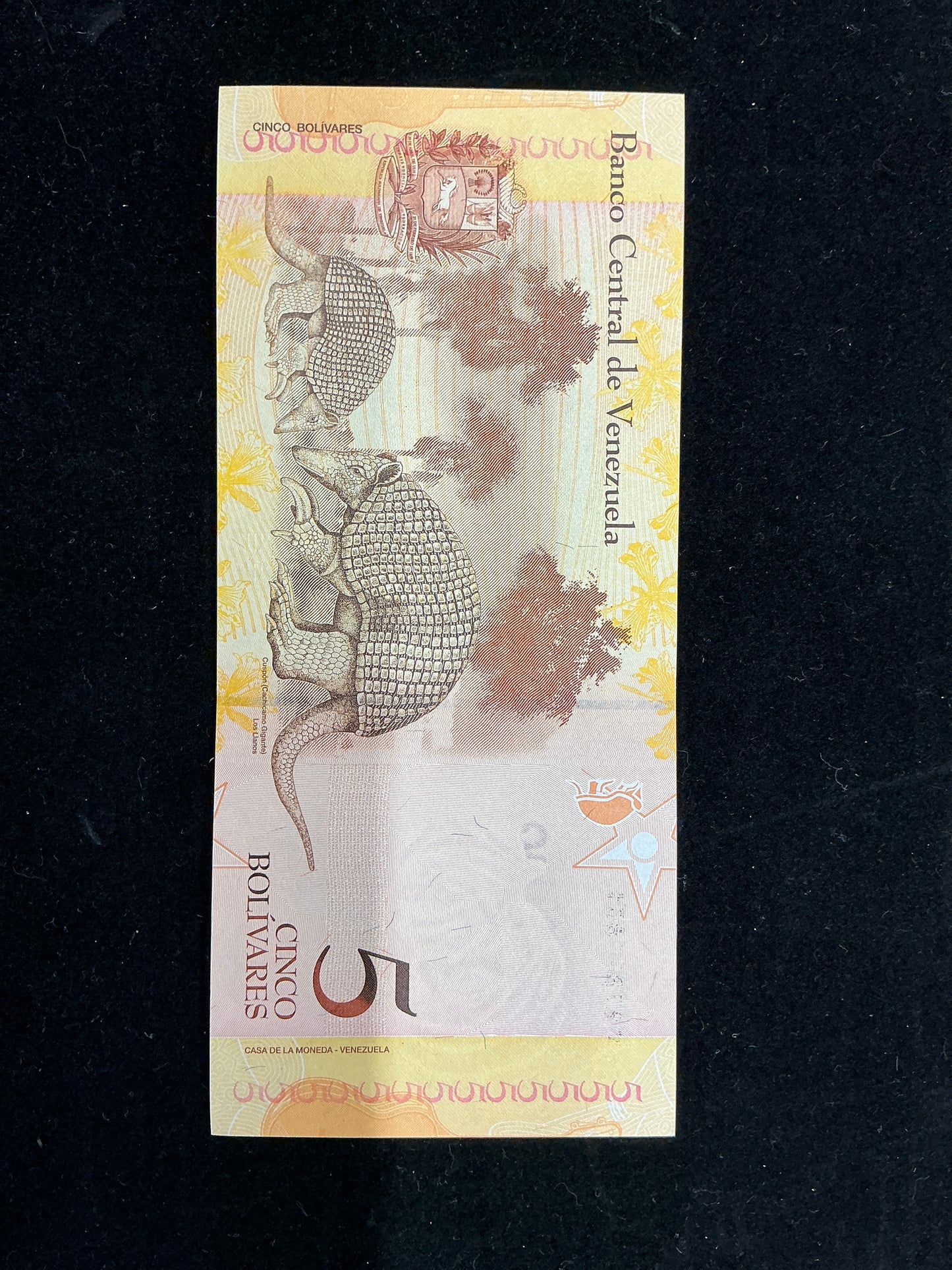 Venezuela 5 Bolivares