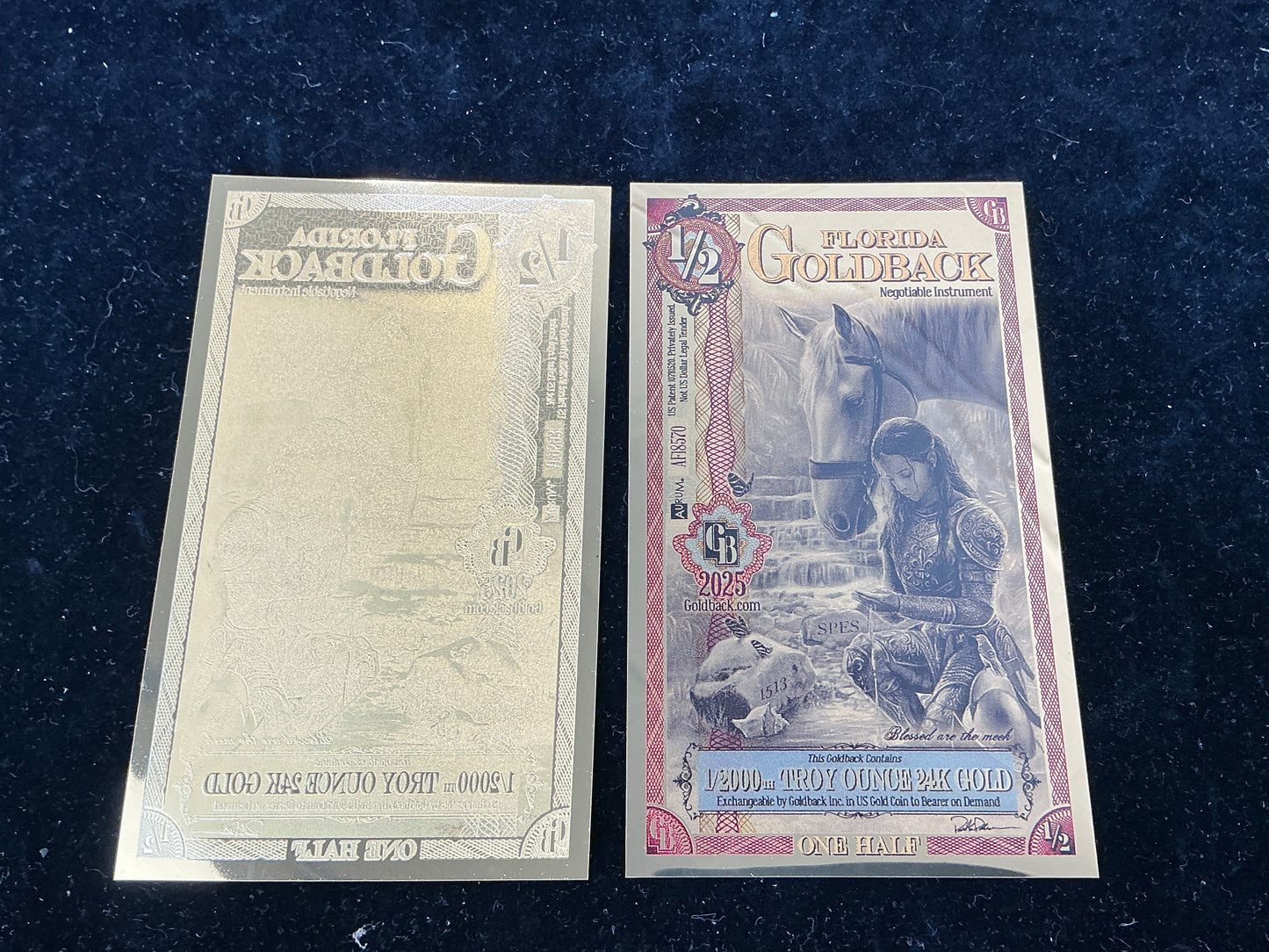 Florida Fractional Goldback Lot