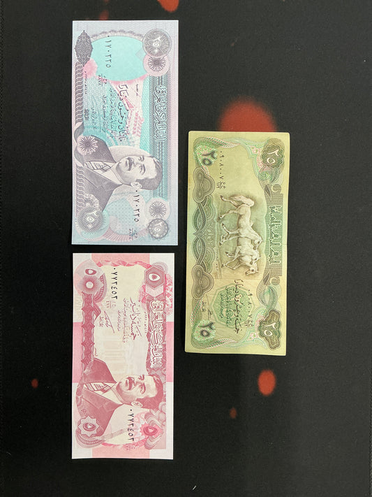 Lot of 3 Iraqi Currency